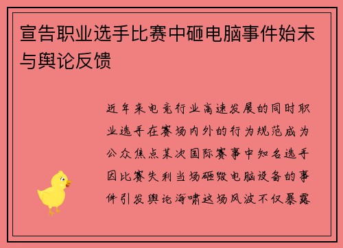 宣告职业选手比赛中砸电脑事件始末与舆论反馈